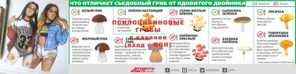 прущие грибы Армянск