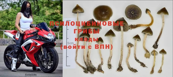 дживик Арсеньев