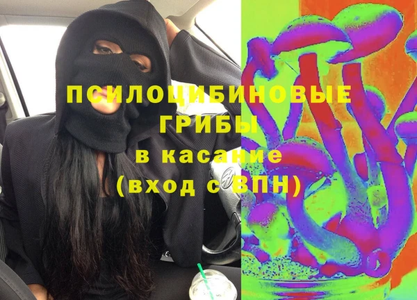дживик Арсеньев
