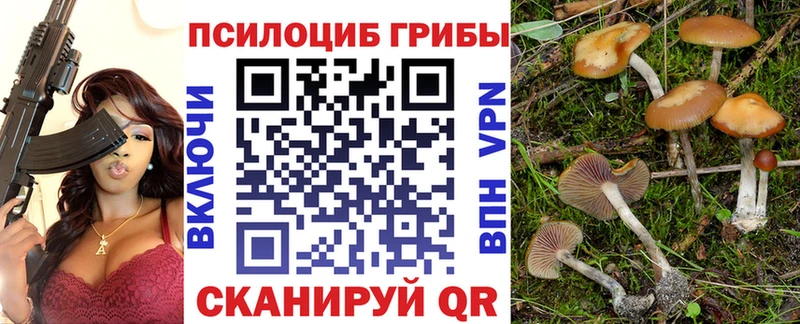 Галлюциногенные грибы Cubensis  Архангельск 